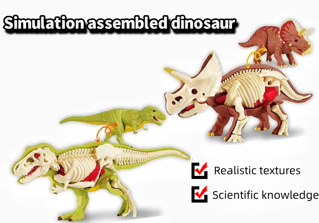 Children's dinosaur educational toy simulation Tyrannosaurus Rex Triceratops, Anatomy assembly model