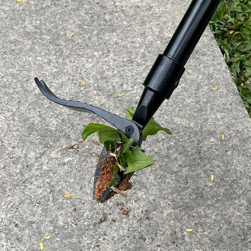 Detachable Stand Up Weed Puller